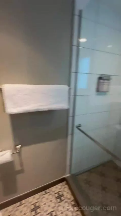 Executive Suite City View King bathroom picture #4