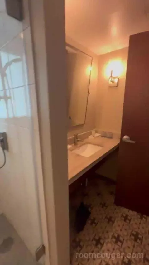Executive Suite City View King bathroom picture #7