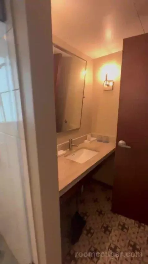 Executive Suite City View King bathroom picture #8