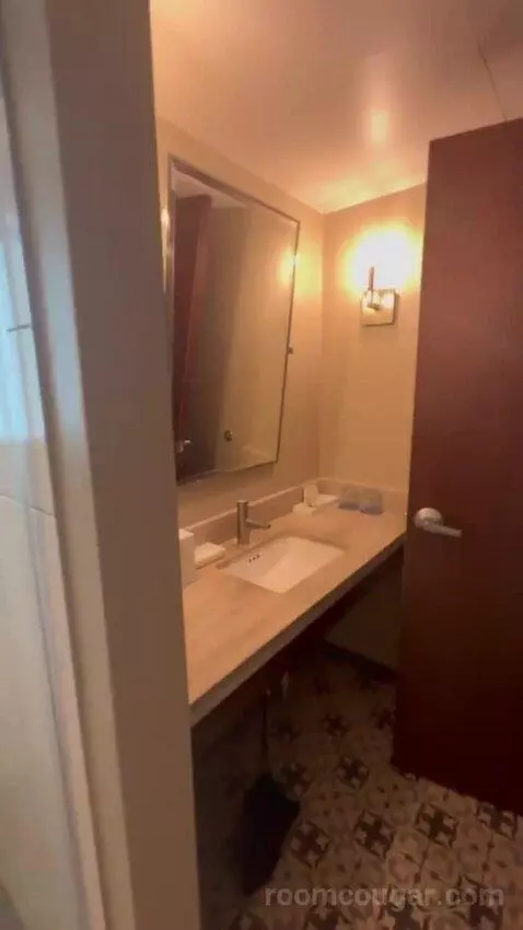 Executive Suite City View King bathroom picture #9