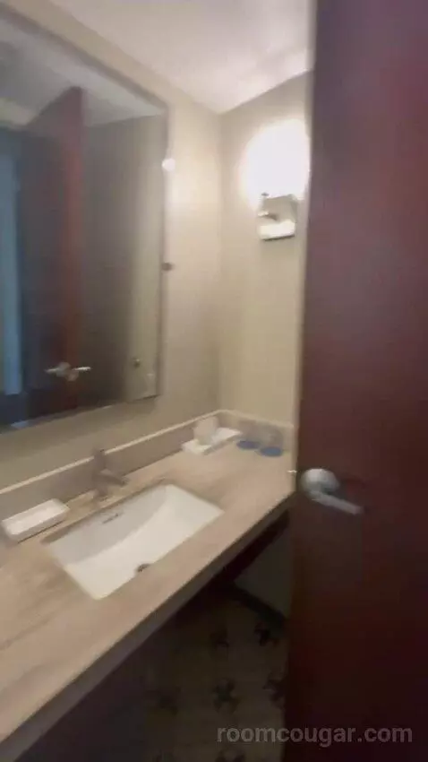 Executive Suite City View King bathroom picture #10