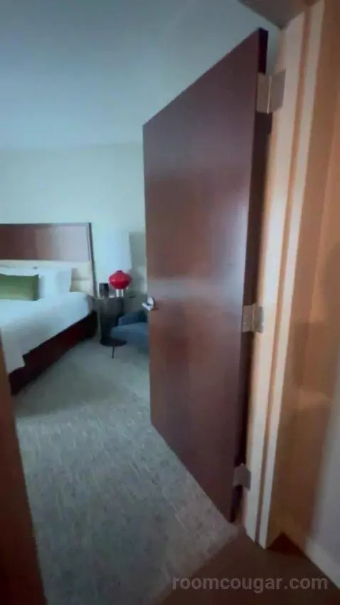 Executive Suite City View King bed picture #1