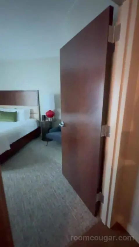 Executive Suite City View King bed picture #2