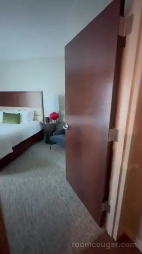 Executive Suite City View King bed picture #3