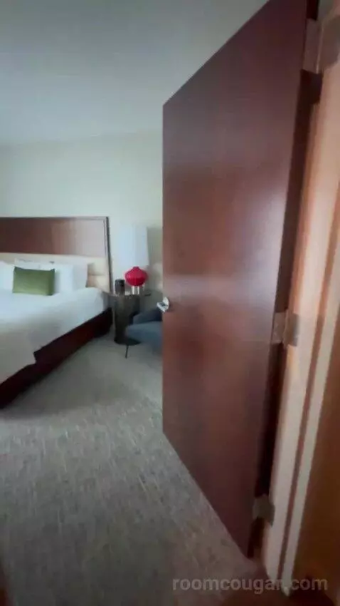 Executive Suite City View King bed picture #4