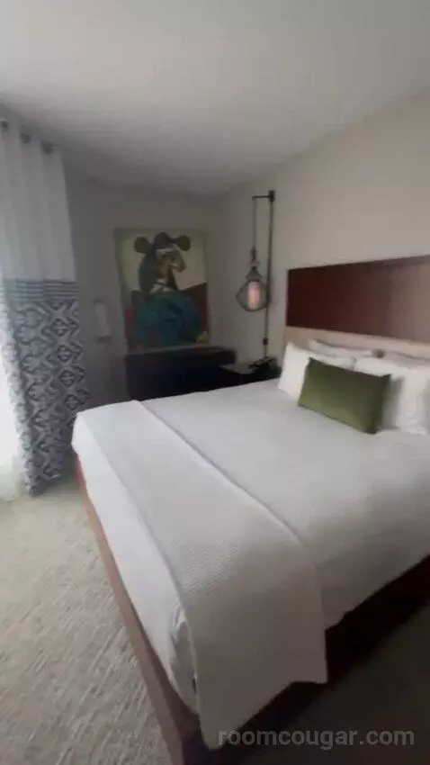 Executive Suite City View King bed picture #8