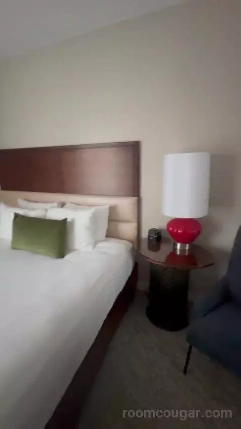 Executive Suite City View King bed picture #9