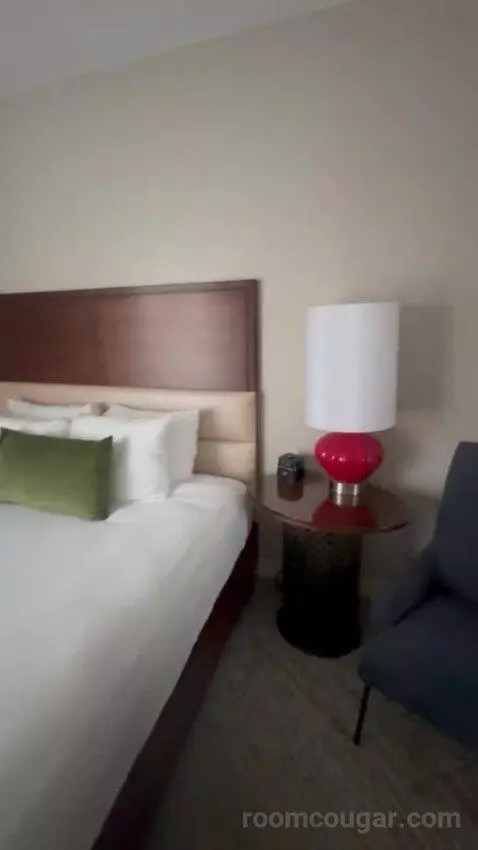 Executive Suite City View King bed picture #10