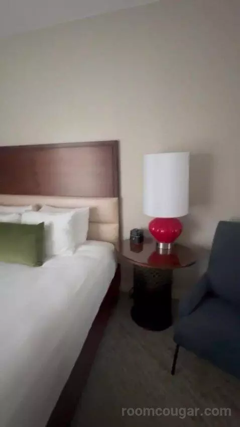 Executive Suite City View King bed picture #11