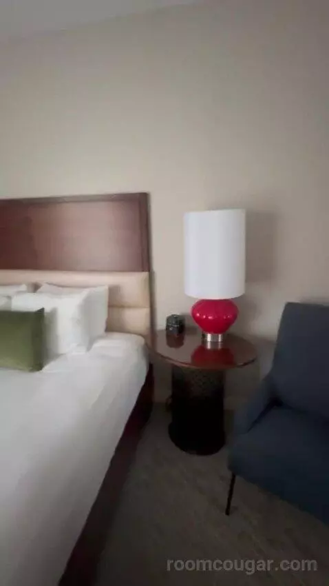 Executive Suite City View King bed picture #12