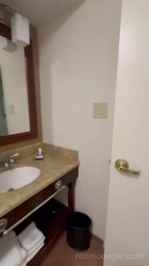 Standard Room bathroom picture #2