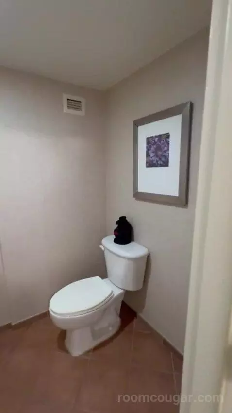Standard Room bathroom picture #4