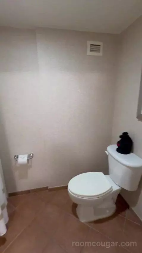 Standard Room bathroom picture #5