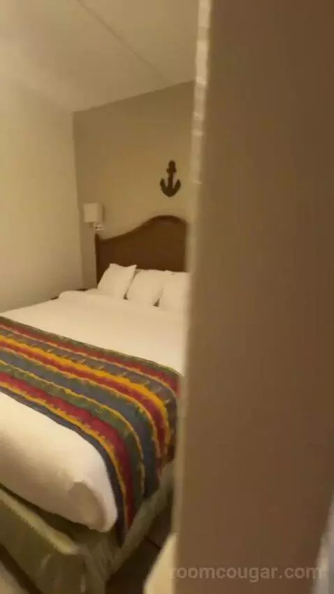 King Suite bed picture #1