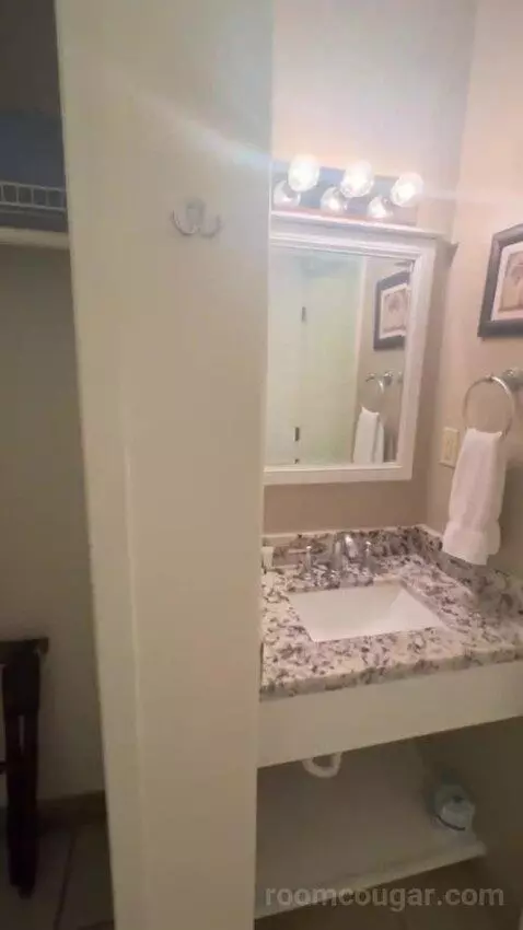 King Suite bathroom picture #1