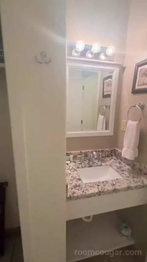 King Suite bathroom picture #2