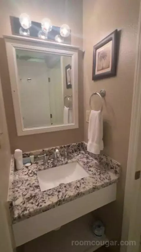 King Suite bathroom picture #3