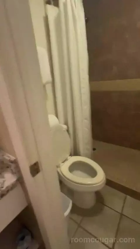 King Suite bathroom picture #6