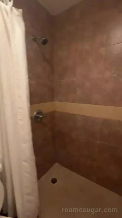 King Suite bathroom picture #9