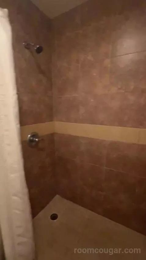 King Suite bathroom picture #10