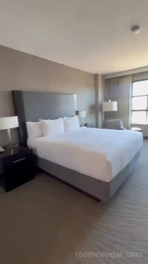 King Room bed picture #6
