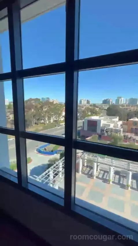 King Room view picture #1
