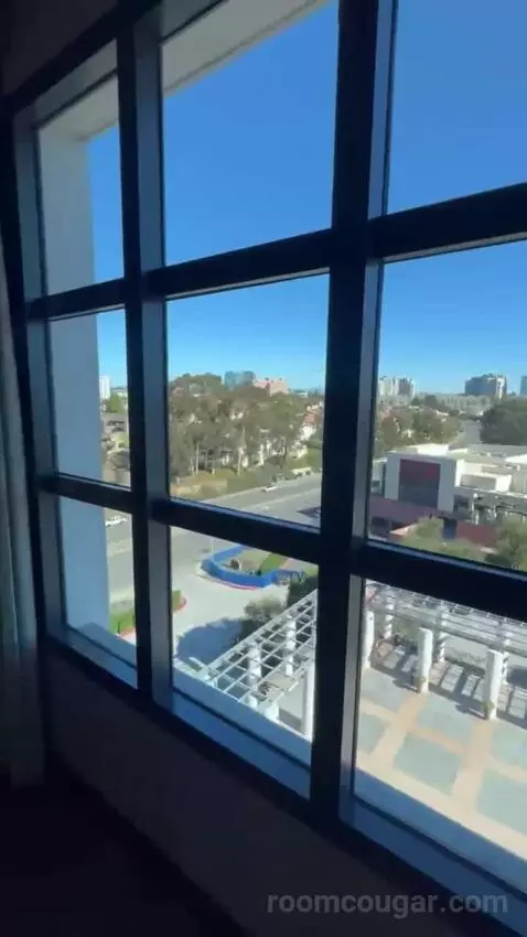 King Room view picture #4