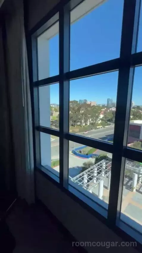 King Room view picture #11