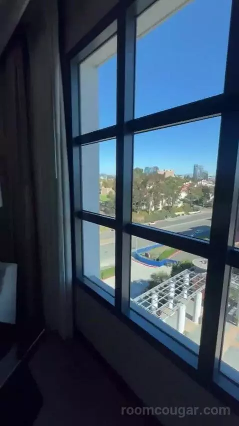 King Room view picture #12