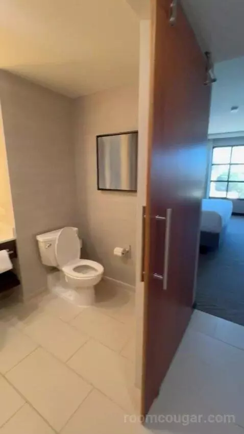 King Room bathroom picture #1