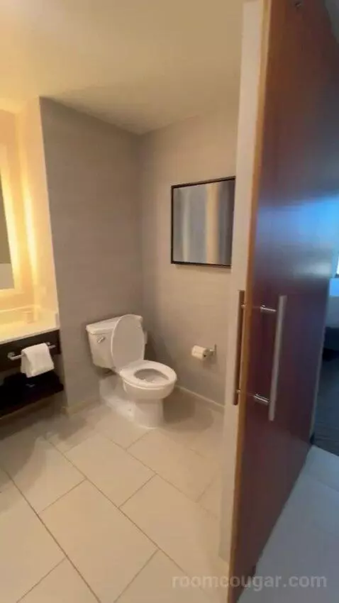 King Room bathroom picture #4