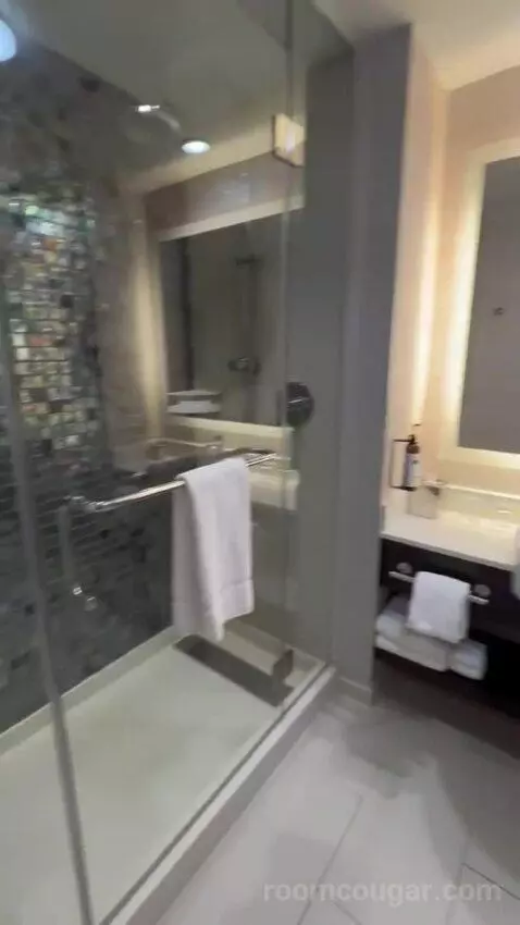 King Room bathroom picture #5