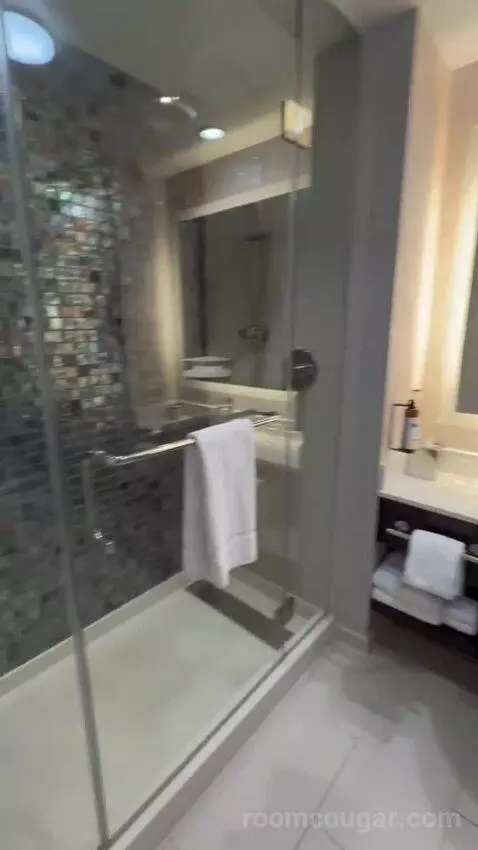 King Room bathroom picture #6
