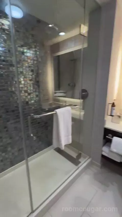 King Room bathroom picture #7