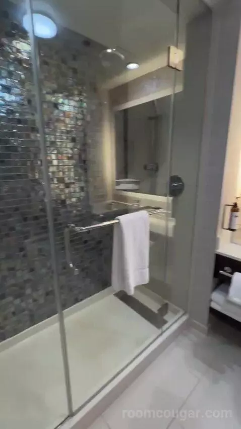 King Room bathroom picture #8