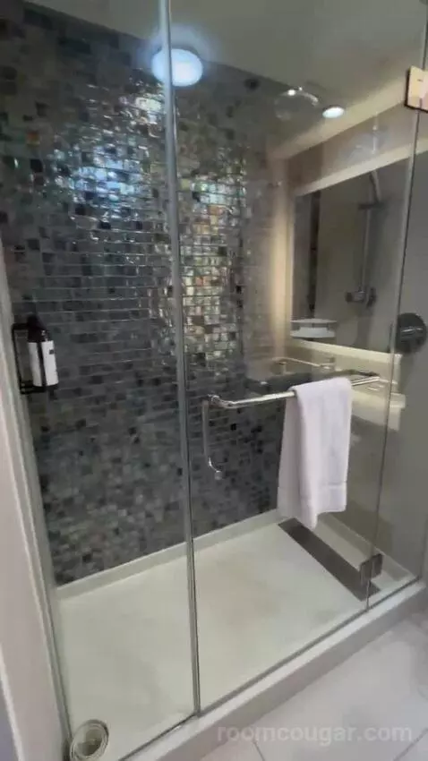 King Room bathroom picture #9