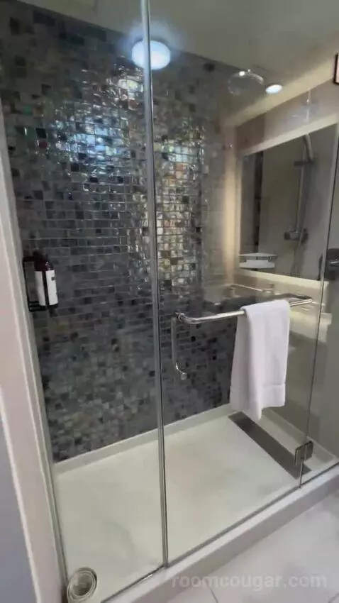 King Room bathroom picture #11