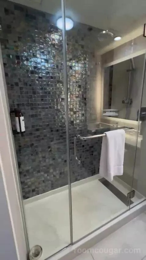 King Room bathroom picture #12