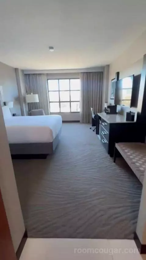 King Room bed picture #2