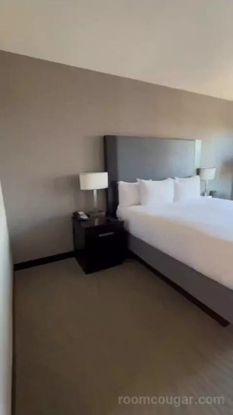 King Room bed picture #3