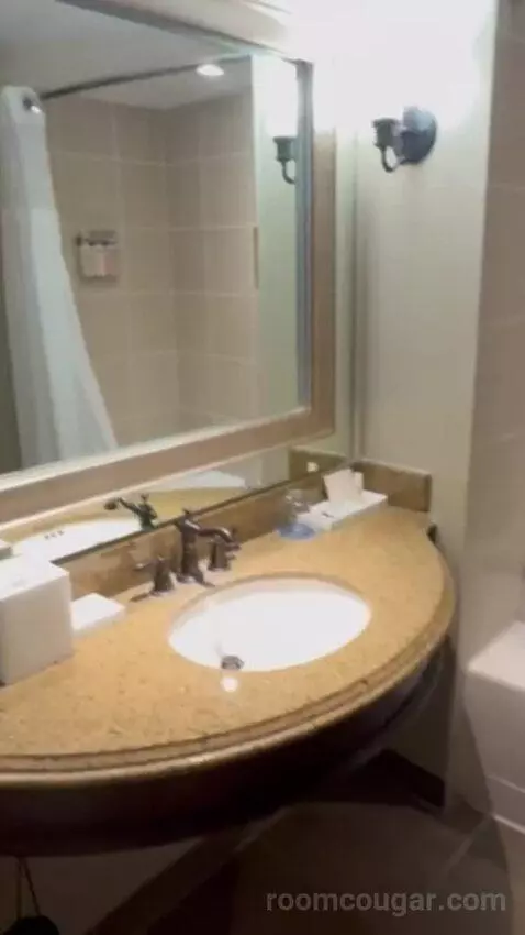 Standard Suite bathroom picture #7