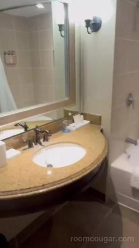 Standard Suite bathroom picture #8