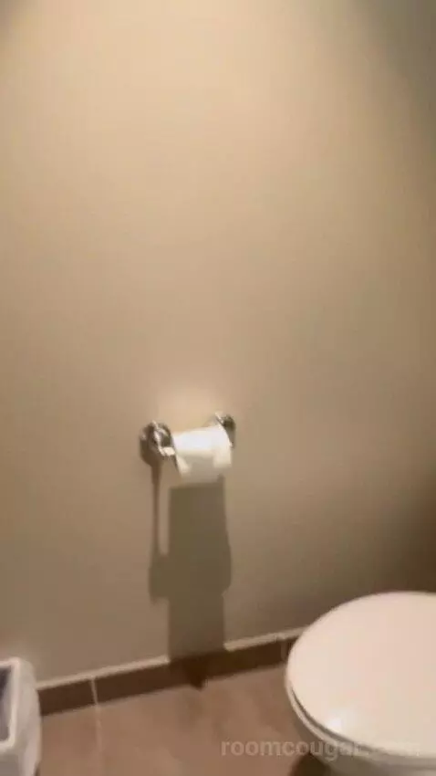 Standard Suite bathroom picture #4