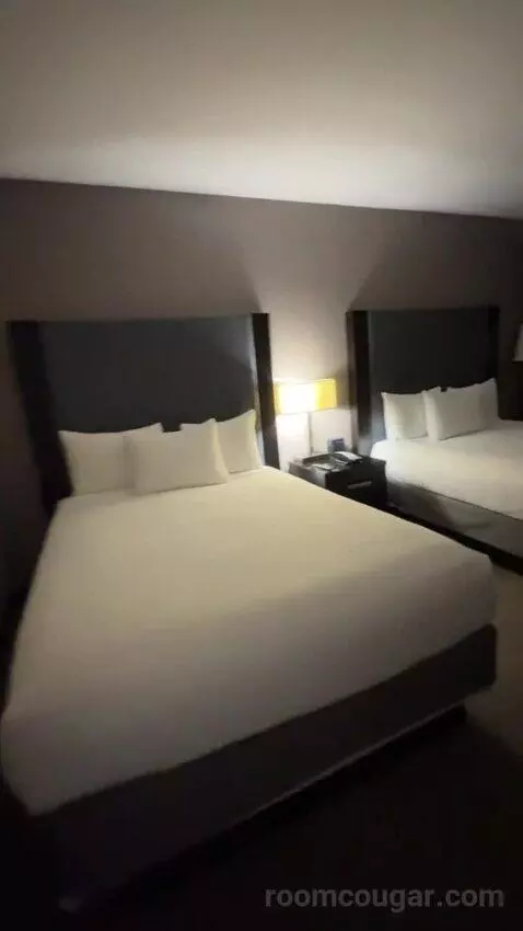 Corner Queen Room with Two Queen Beds bed picture #6
