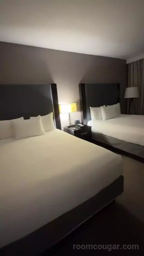 Corner Queen Room with Two Queen Beds bed picture #8