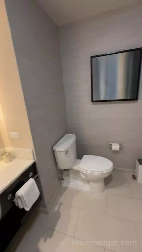 Corner Queen Room with Two Queen Beds bathroom picture #9