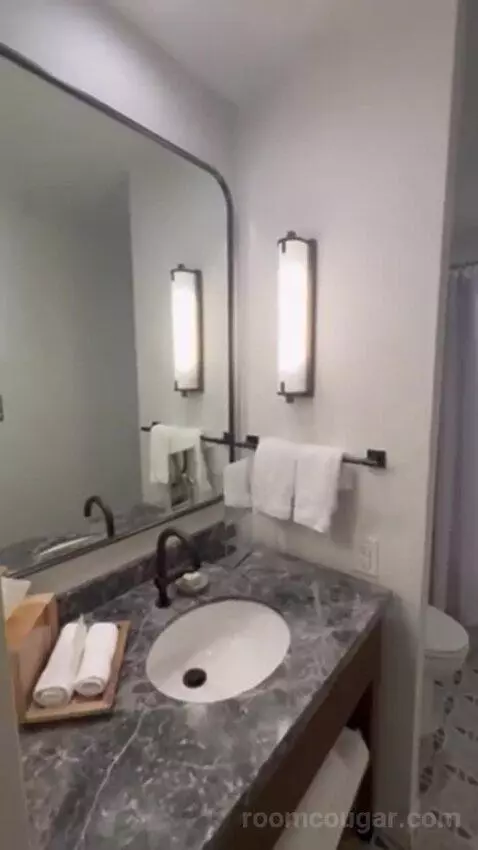 Navarro Suite - 1 King Bed bathroom picture #3