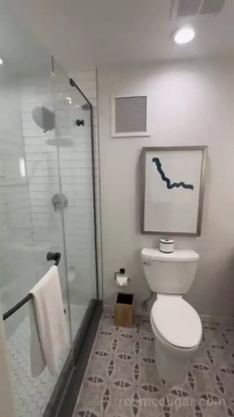 Navarro Suite - 1 King Bed bathroom picture #6