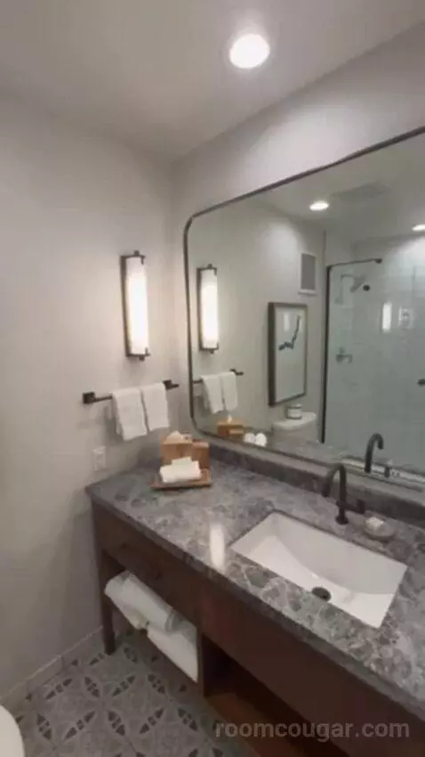 Navarro Suite - 1 King Bed bathroom picture #7