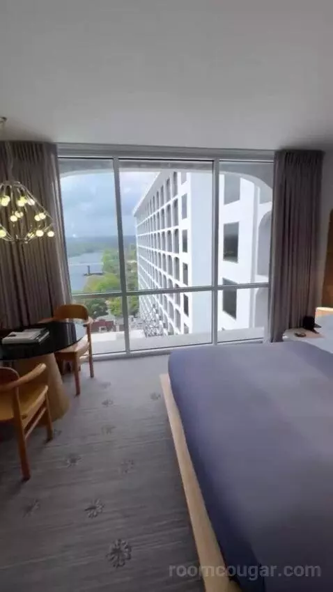 City View Suite bed picture #1